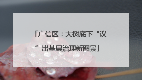 广信区：大树底下“议”出基层治理新图景