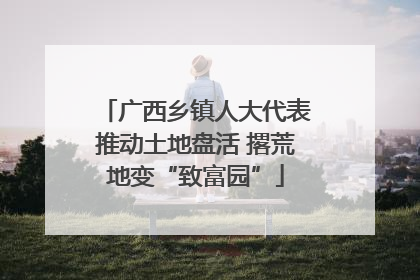 广西乡镇人大代表推动土地盘活 撂荒地变“致富园”