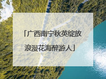 广西南宁秋英绽放 浪漫花海醉游人