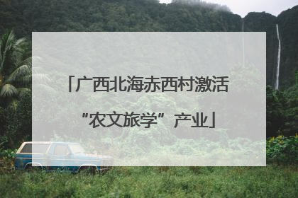 广西北海赤西村激活“农文旅学”产业