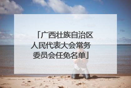 广西壮族自治区人民代表大会常务委员会任免名单