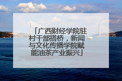 广西财经学院驻村干部搭桥，新闻与文化传播学院赋能油茶产业振兴