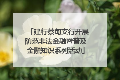 建行蔡甸支行开展防范非法金融暨普及金融知识系列活动