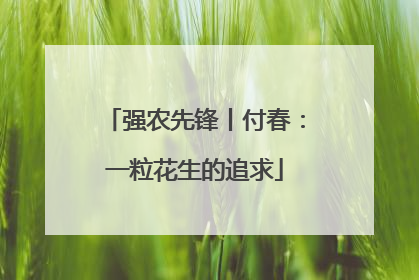 强农先锋丨付春：一粒花生的追求