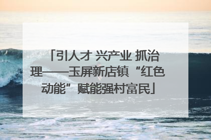 引人才 兴产业 抓治理——玉屏新店镇“红色动能”赋能强村富民