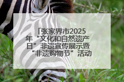 张家界市2025年“文化和自然遗产日”非遗宣传展示暨“非遗购物节”活动在慈利县盛大启幕