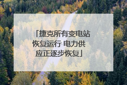 捷克所有变电站恢复运行 电力供应正逐步恢复