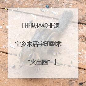 排队体验非遗 宁乡木活字印刷术“火出圈”