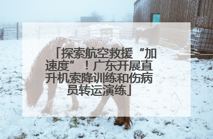 探索航空救援“加速度”！广东开展直升机索降训练和伤病员转运演练