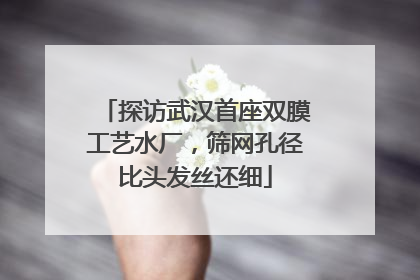 探访武汉首座双膜工艺水厂，筛网孔径比头发丝还细