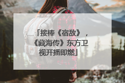 接棒《宿敌》，《藏海传》东方卫视开播即燃