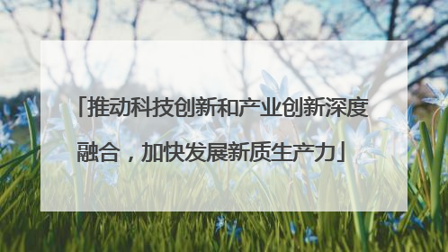 推动科技创新和产业创新深度融合，加快发展新质生产力