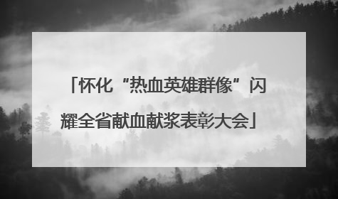 怀化“热血英雄群像”闪耀全省献血献浆表彰大会