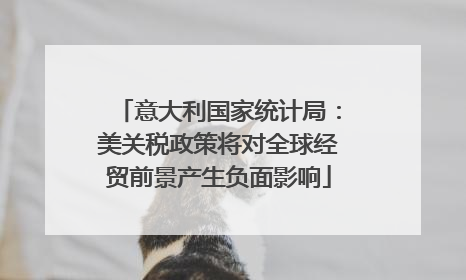 意大利国家统计局：美关税政策将对全球经贸前景产生负面影响