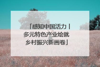 感知中国活力丨多元特色产业绘就乡村振兴新画卷