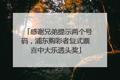 感谢兄弟提示两个号码，浦东购彩者复式票喜中大乐透头奖