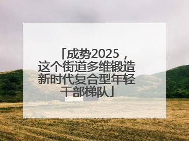 成势2025，这个街道多维锻造新时代复合型年轻干部梯队