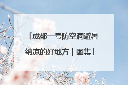 成都一号防空洞避暑纳凉的好地方｜图集