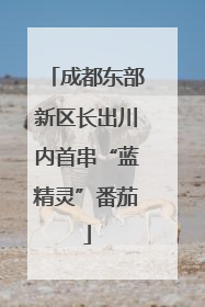 成都东部新区长出川内首串“蓝精灵”番茄