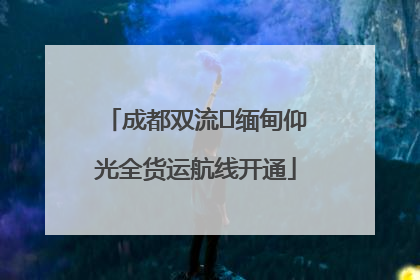 成都双流⇌缅甸仰光全货运航线开通