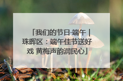 我们的节日·端午｜珠晖区：端午佳节送好戏 黄梅声韵润民心