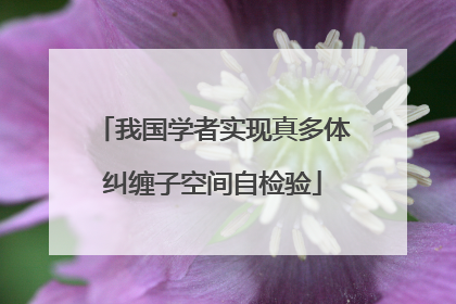 我国学者实现真多体纠缠子空间自检验