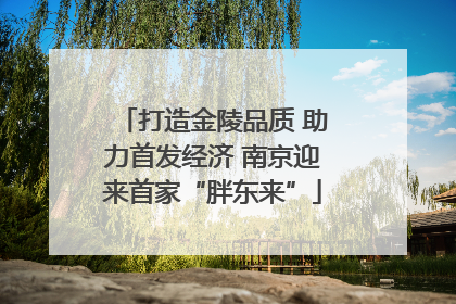 打造金陵品质 助力首发经济 南京迎来首家“胖东来”