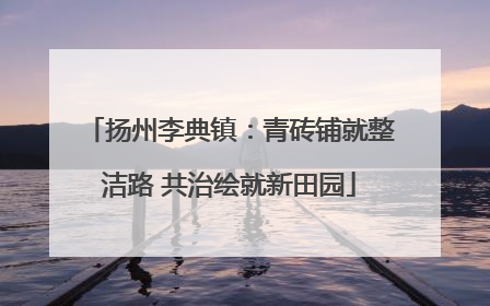 扬州李典镇：青砖铺就整洁路 共治绘就新田园