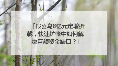 报喜鸟8亿元定增折戟，快速扩张中如何解决巨额资金缺口？