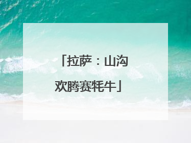 拉萨：山沟欢腾赛牦牛