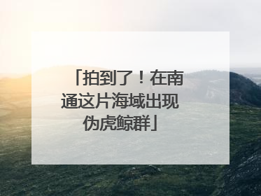拍到了！在南通这片海域出现伪虎鲸群