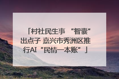 村社民生事 “智囊”出点子 嘉兴市秀洲区推行AI“民情一本账”