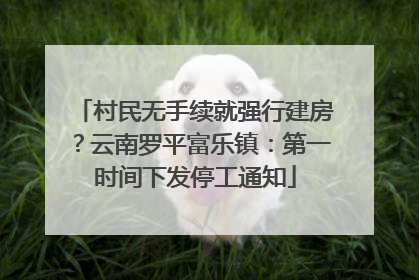 村民无手续就强行建房？云南罗平富乐镇：第一时间下发停工通知