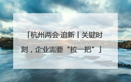 杭州两会·追新丨关键时刻，企业需要“拉一把”