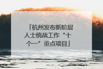 杭州发布新阶层人士统战工作“十个一”重点项目