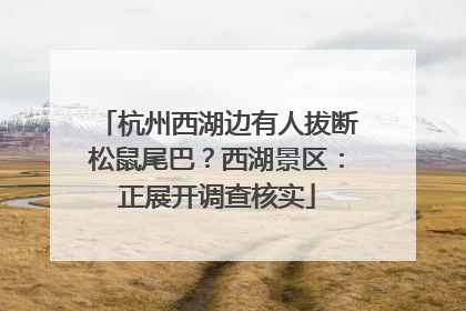 杭州西湖边有人拔断松鼠尾巴？西湖景区：正展开调查核实