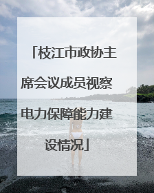 枝江市政协主席会议成员视察电力保障能力建设情况