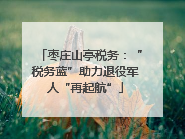 枣庄山亭税务：“税务蓝”助力退役军人“再起航”
