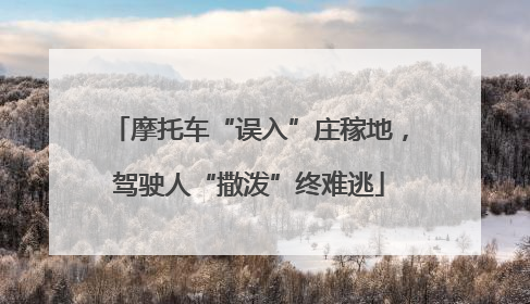 摩托车“误入”庄稼地，驾驶人“撒泼”终难逃