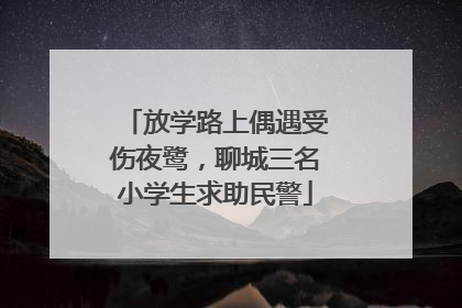 放学路上偶遇受伤夜鹭，聊城三名小学生求助民警