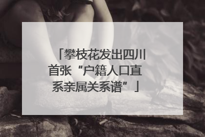 攀枝花发出四川首张“户籍人口直系亲属关系谱”