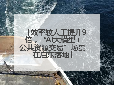 效率较人工提升9倍，“AI大模型+公共资源交易”场景在启东落地