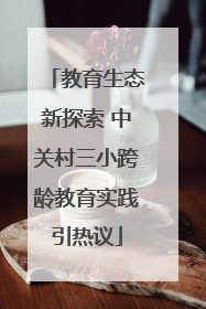 教育生态新探索 中关村三小跨龄教育实践引热议