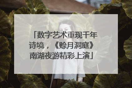数字艺术重现千年诗境，《赊月洞庭》南湖夜游精彩上演
