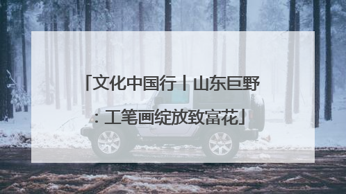 文化中国行丨山东巨野：工笔画绽放致富花