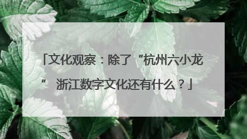 文化观察：除了“杭州六小龙” 浙江数字文化还有什么？