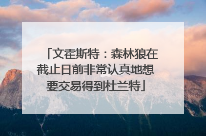 文霍斯特：森林狼在截止日前非常认真地想要交易得到杜兰特