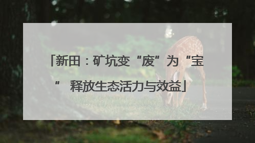 新田：矿坑变“废”为“宝” 释放生态活力与效益