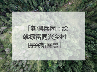 新疆兵团：绘就绿富同兴乡村振兴新图景