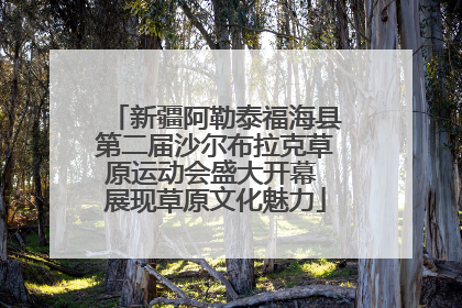 新疆阿勒泰福海县第二届沙尔布拉克草原运动会盛大开幕 展现草原文化魅力